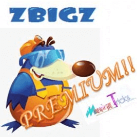Zbigz premium account