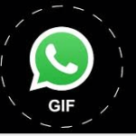 Top 3 Ways to Send Gif Images in Whatsapp